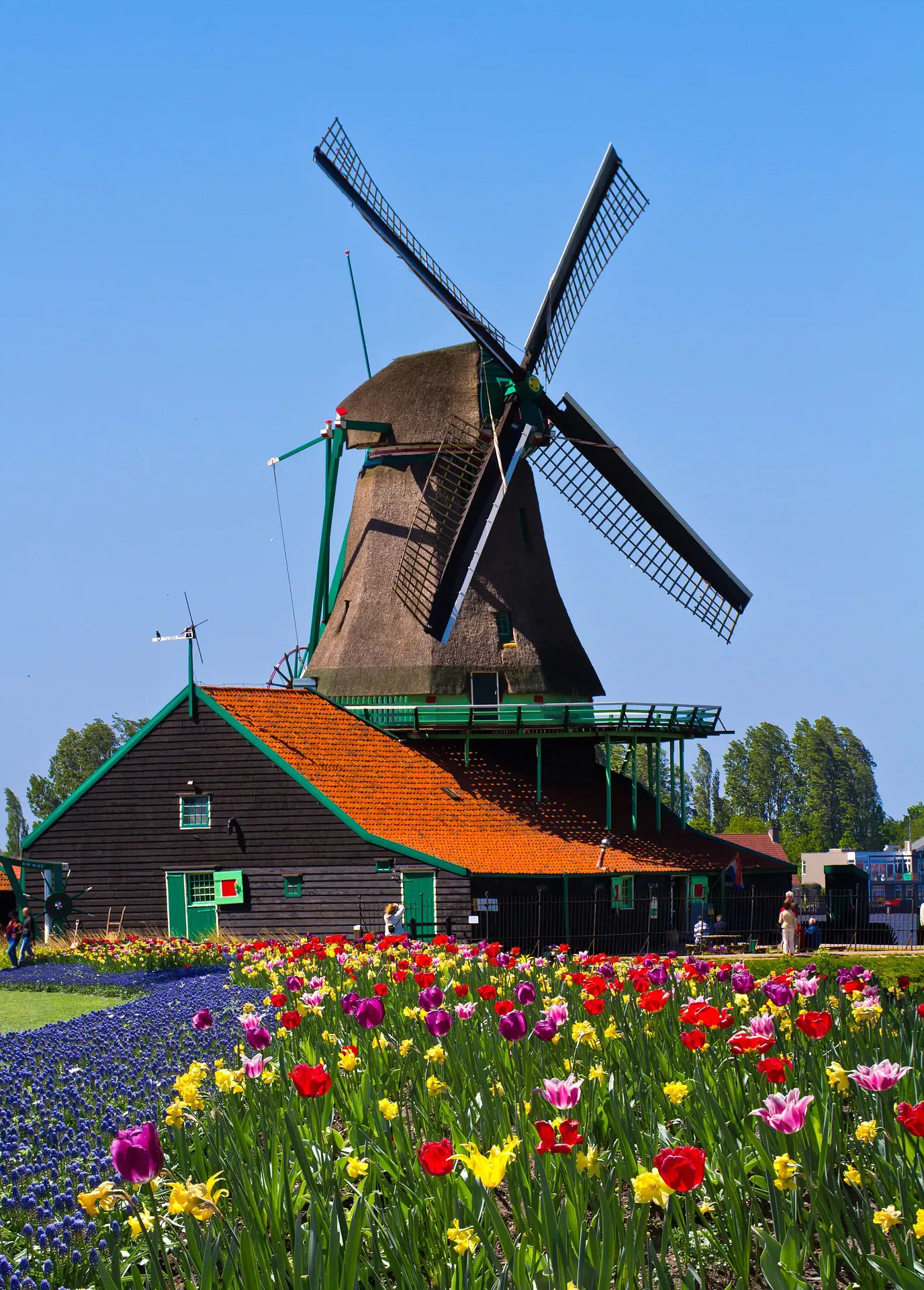 windmill-858143_1920