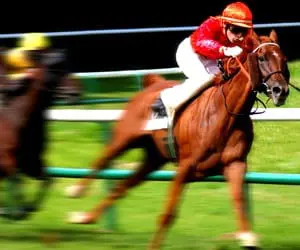 horse-racing-pic_3