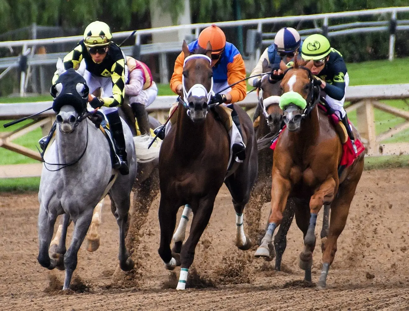 Horse-Racing-4_1-1