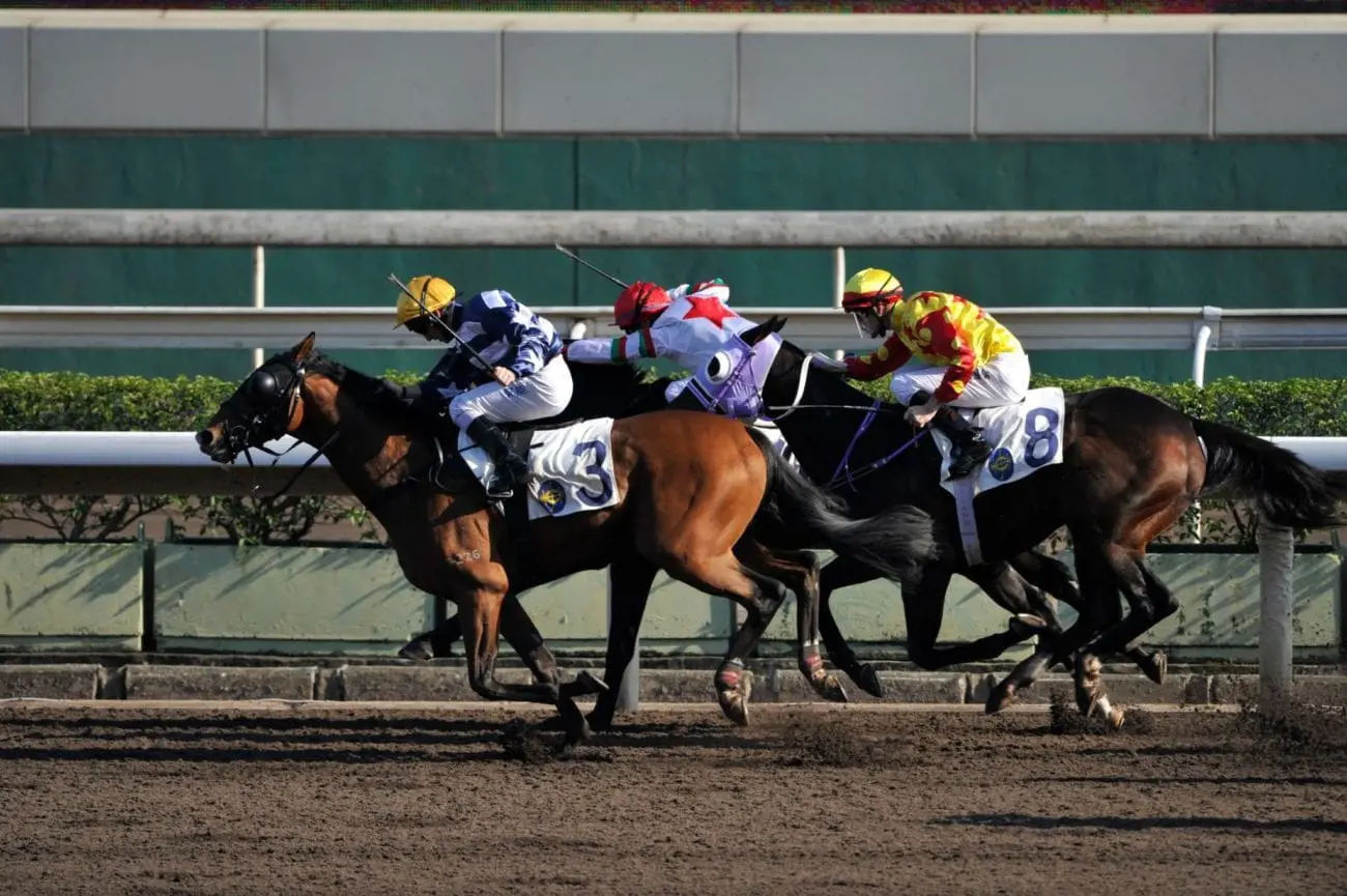 race-sports-racing-jockey-race-track-western-riding-29429-pxhere.com_