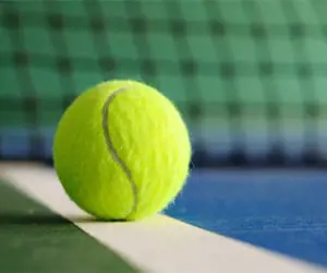 ball_tennis_net_8