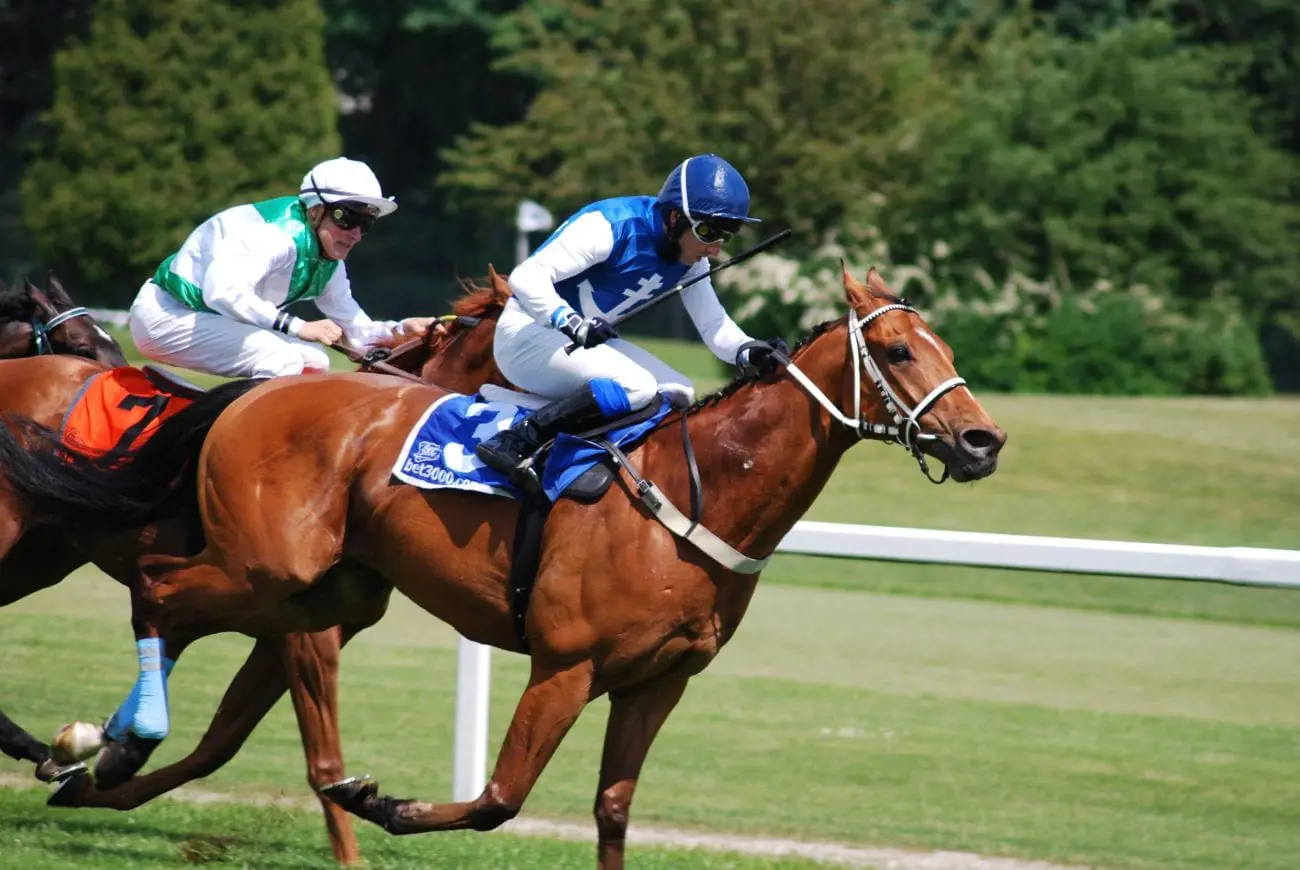 race-horses-racecourse-wallpaper_0