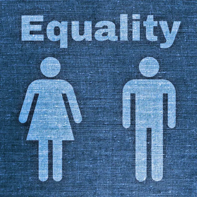 equality-web