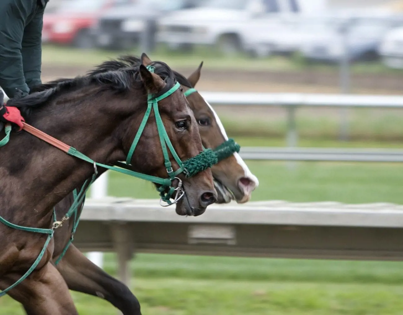 Horse-Racing-3_4