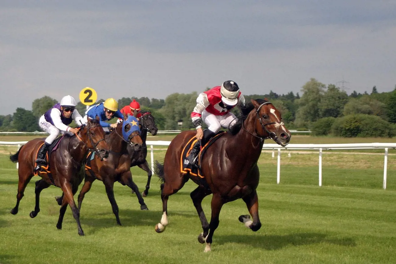 horse-racing-2714846