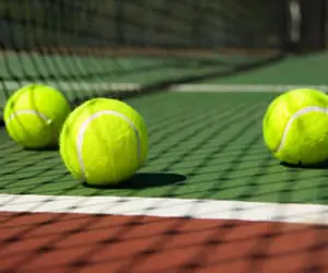 tennis_balls_net