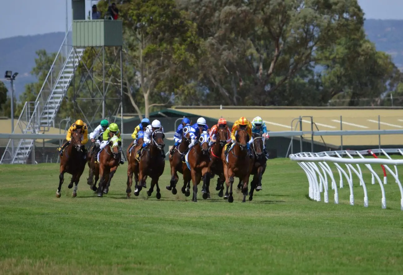 sport-rider-horses-jockey-racing-wallpaper_3